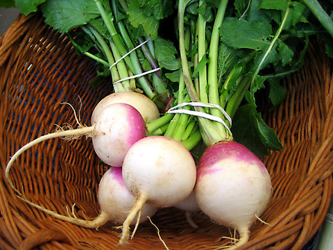 شلغم,ویتامین,مفید