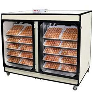 دستگاه,جوجه,کشی