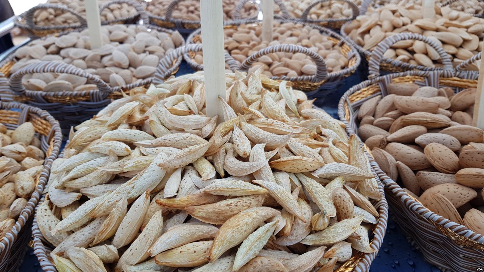 بادام,مغز,جات